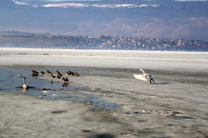 Le lac de Neuchâtel a gelé à Yvedon