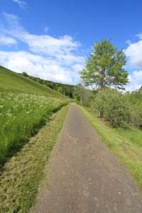 Chemin goudronné, au nord des Charbonnières