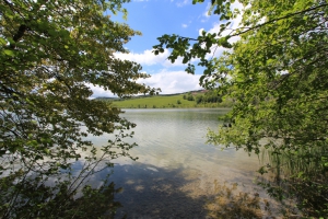 Joli coup d'œil sur la Lac Brenet