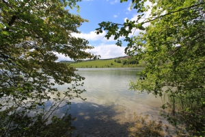 Joli coup d'œil sur la Lac Brenet