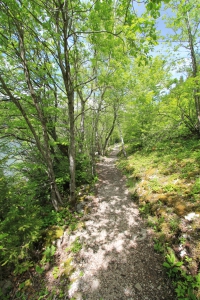 Chemin caillouteux, au nord de 