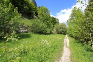 Chemin caillouteux, praticable avec une poussette tout-terrain (rive nord du lac)