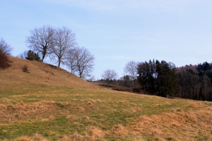 Pâturages le long du sentier