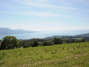 Une partie du paysage sur le lac Léman