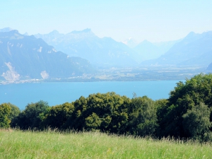 Le lac Léman, et Villeneuve