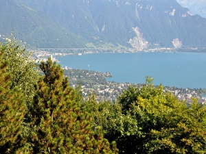 Une petite partie des villes de Vevey, Montreux....