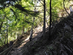 Voilà aussi la raison de mettre des bonnes chaussures car il faut aussi marcher sur des cailloux et des racines d'arbres. Dernière montée avant de passer le tourniquet