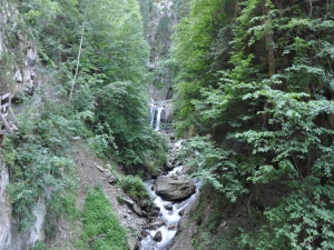 Un ruisseau qui gazouille mais rien de spécial, le décors change après les premières marches