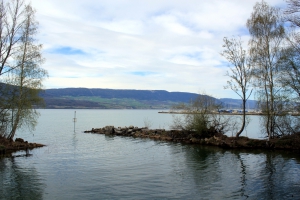 Vue sur le port de Cheyres