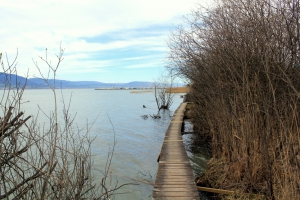 Par endroits, la passerelle passe sur le lac