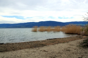 Une petite plage aux abords de Cheyres