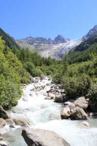 Le Trient, juste au-dessous du Chalet du Glacier