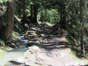 le long du bisse