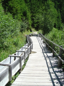 Le bisse passe dans un canal en bois