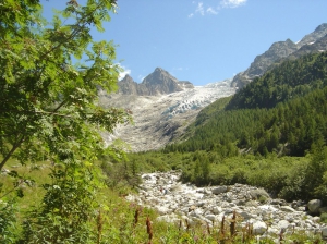 Le long du sentier, en amont du Chalet du Glacier
