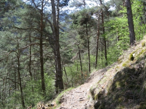 Le sentier