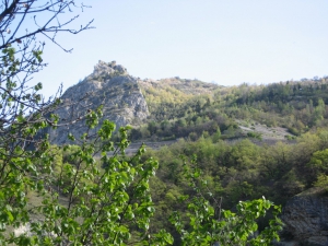 Quelques arpents de vigne