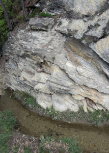 on peu voir une racine de pin qui a réussi à se frayer un passage dans la roche pour venir chercher l'eau du bisse...