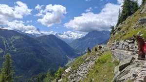 Vue sur le Mont Blanc, depuis le petit train panoramique