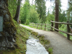 Chemin le long du bisse, sans difficulté particulière.