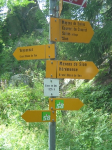 Bisse de Vex, 1355m.