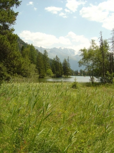 Au bout du lac, la nature est plus sauvage