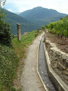 Le bisse du Mont d'Orge passe au milieu des vignes