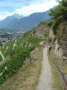 Préférer les températures pas trop élevées pour longer le bisse