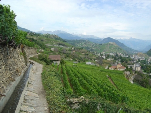 Le sentier entre vignoble et bisse offre une vue magnifique