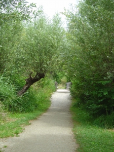 Le chemin se prête à une balade avec une poussette