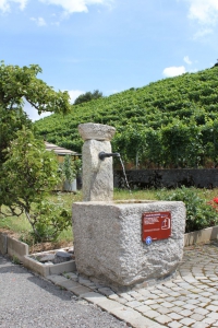 La magnifique petite fontaine du Chemin de Plan d'Essert