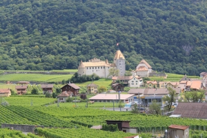 Le château d'Aigle