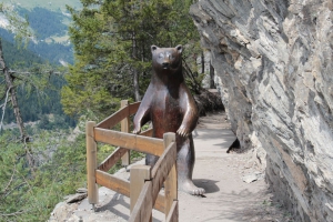 Rencontre improbable au détour du chemin