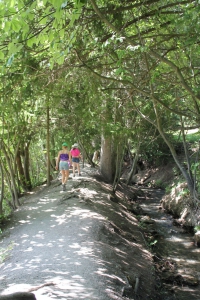 Le sentier entre le parking et la buvette