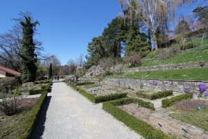 Allée principale du jardin botanique