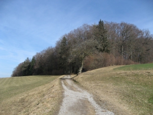 En se dirigeant vers Bourguillon