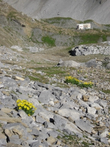 Départ de la cabane