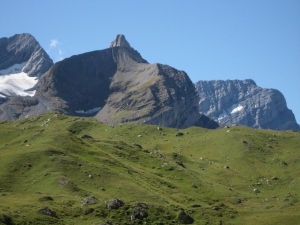 Tête à Pierre Crept et Grand Muveran