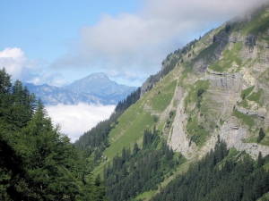 Brouillard dans la vallée