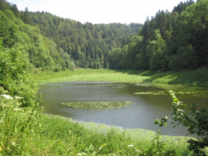 Le petit lac du Cul des Prés.