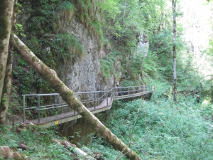 Des gorges bien sauvages après les échelles.