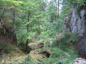 Toujours les mêmes gorges sauvages...