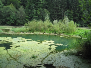 Le petit lac juste avant l'arrivée à Biaufond.