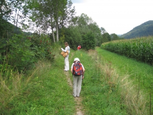 Le sentier entre la rivière et le champ.