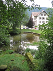 La source du Fleurier, à La Raisse.