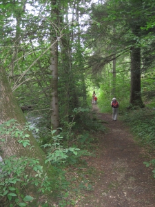 Le sentier en rive gauche du Fleurier.