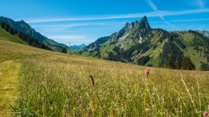 Le plateau de Riggisalp