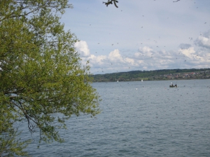 Lac de Bienne, pêcheurs et moucherons!