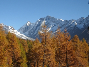 Lötschenlücke Sattelhorn et Schinhorn