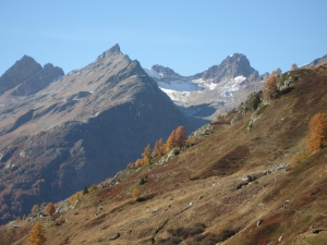 Ferdenrothorn